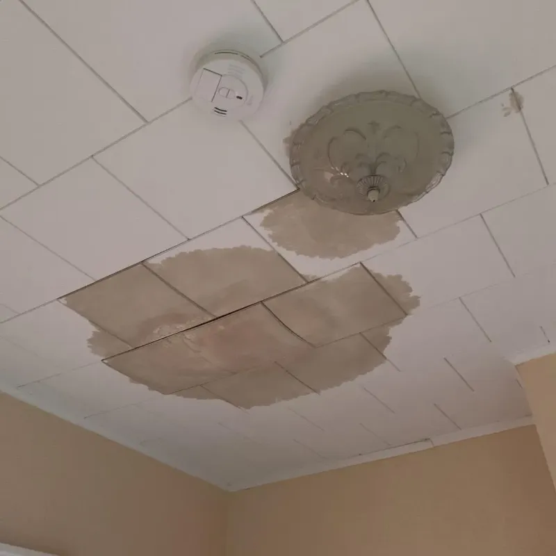 Ceiling Water Damage Repair in Brooksville, MS