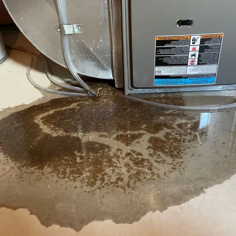 Pipe Burst and Leak Restoration in Brooksville, MS