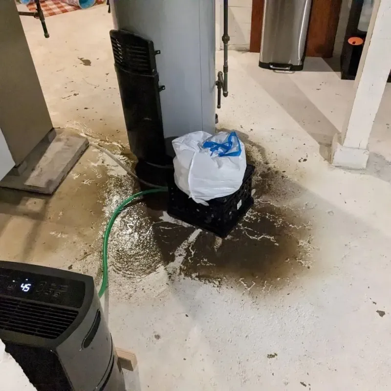 Sewage Backup Cleanup Service in Brooksville, MS